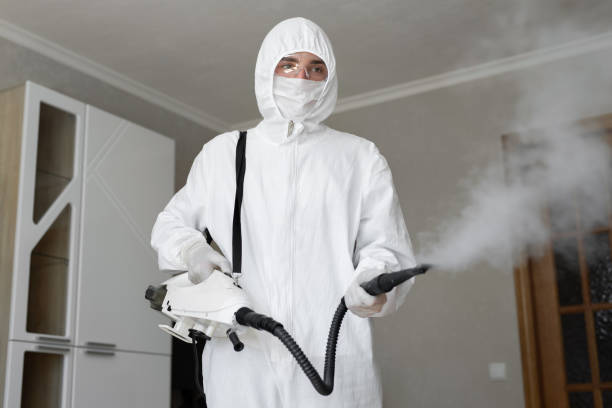 Reliable Miles, TX Mold Removal Solutions